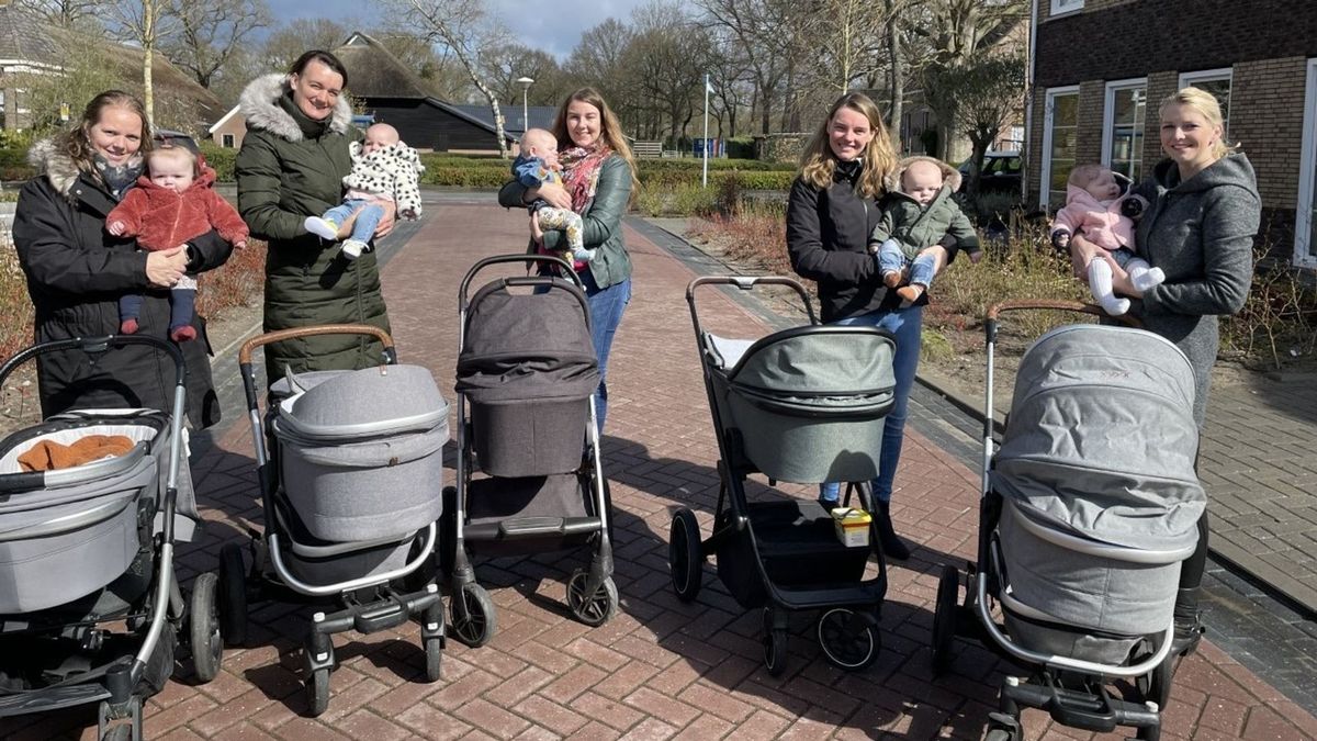 Babyboom in Veeningen: beschuit met muisjes bij vijf gezinnen in één straat