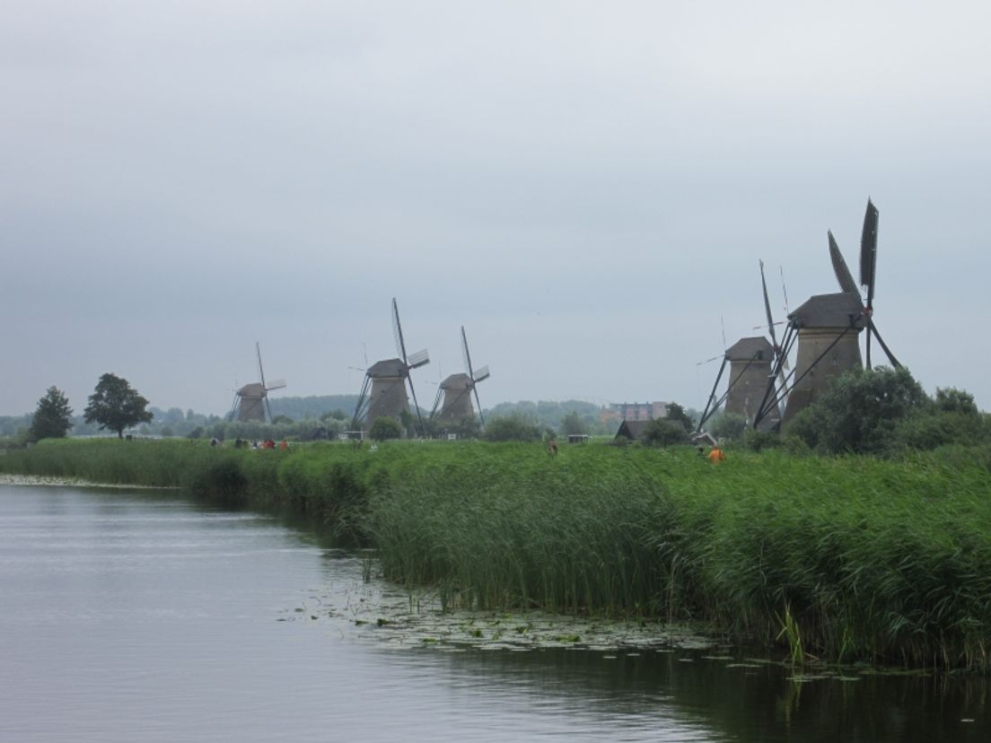 Kinderdijk2