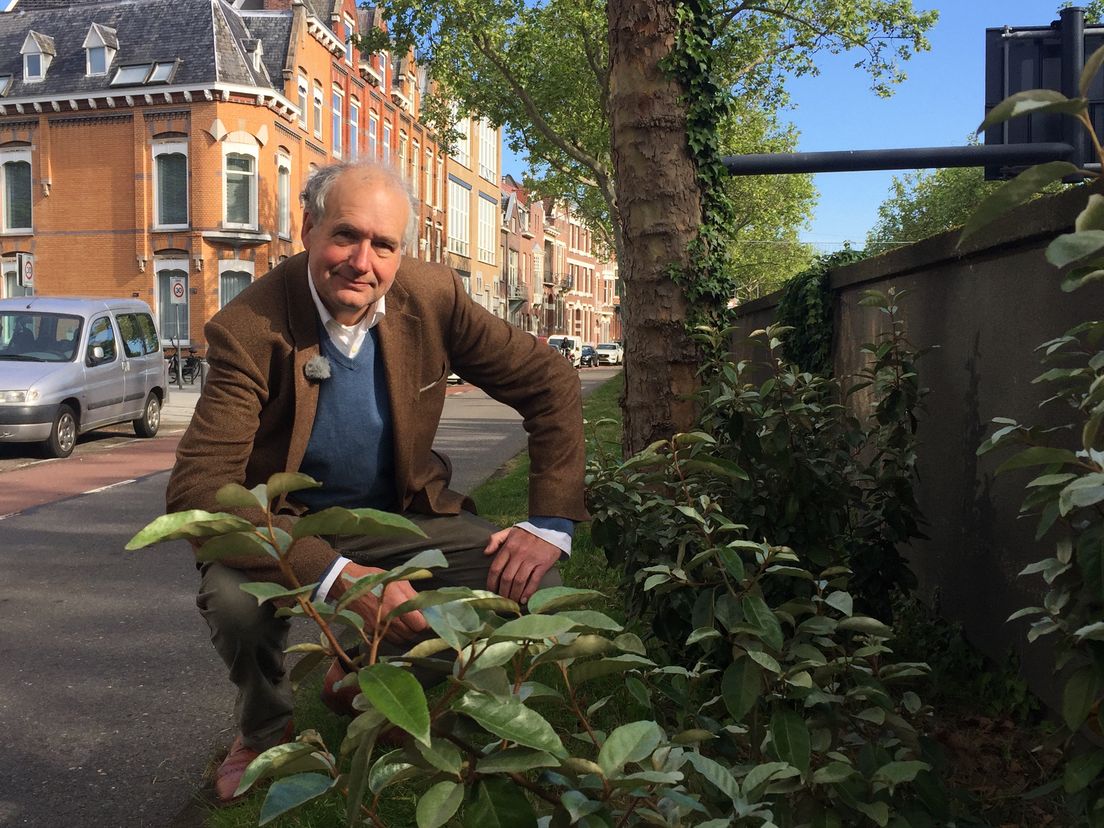 Leonard van Rhijn met zijn nieuwe beplanting langs de Gravendijkwal