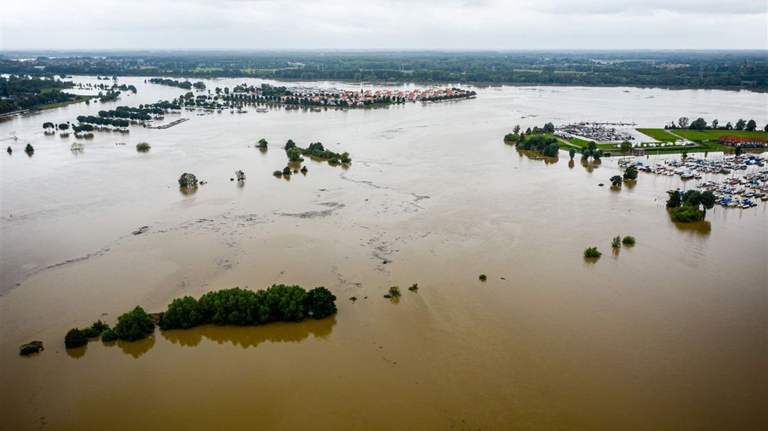 Door de overstromingen zijn veel vissen buiten de rivieren terechtgekomen