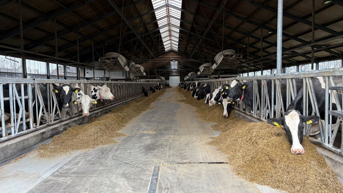 Boer Bakkeveen wil investeren in stikstofreductie, maar krijgt geen vergunning