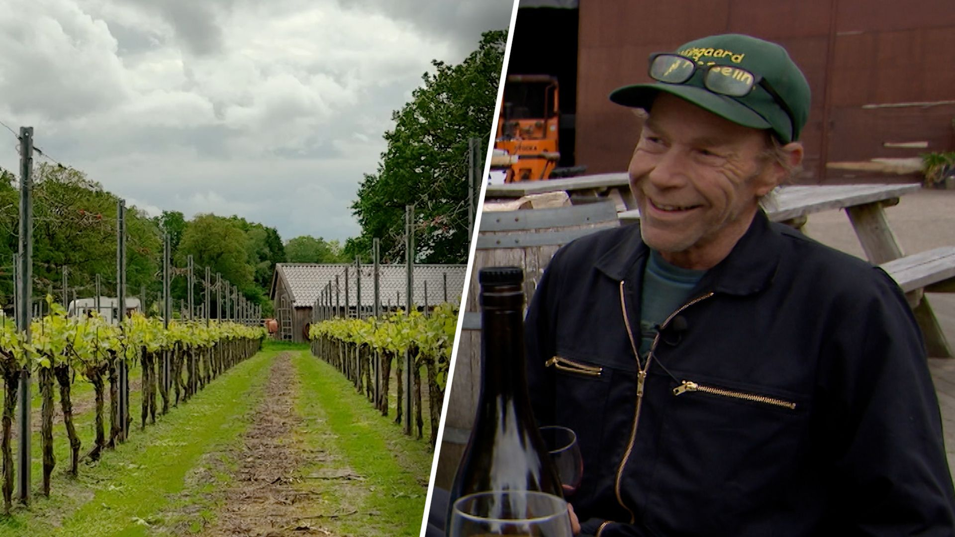 Wordt dit écht het beste wijnjaar ooit? Het blijft spannend