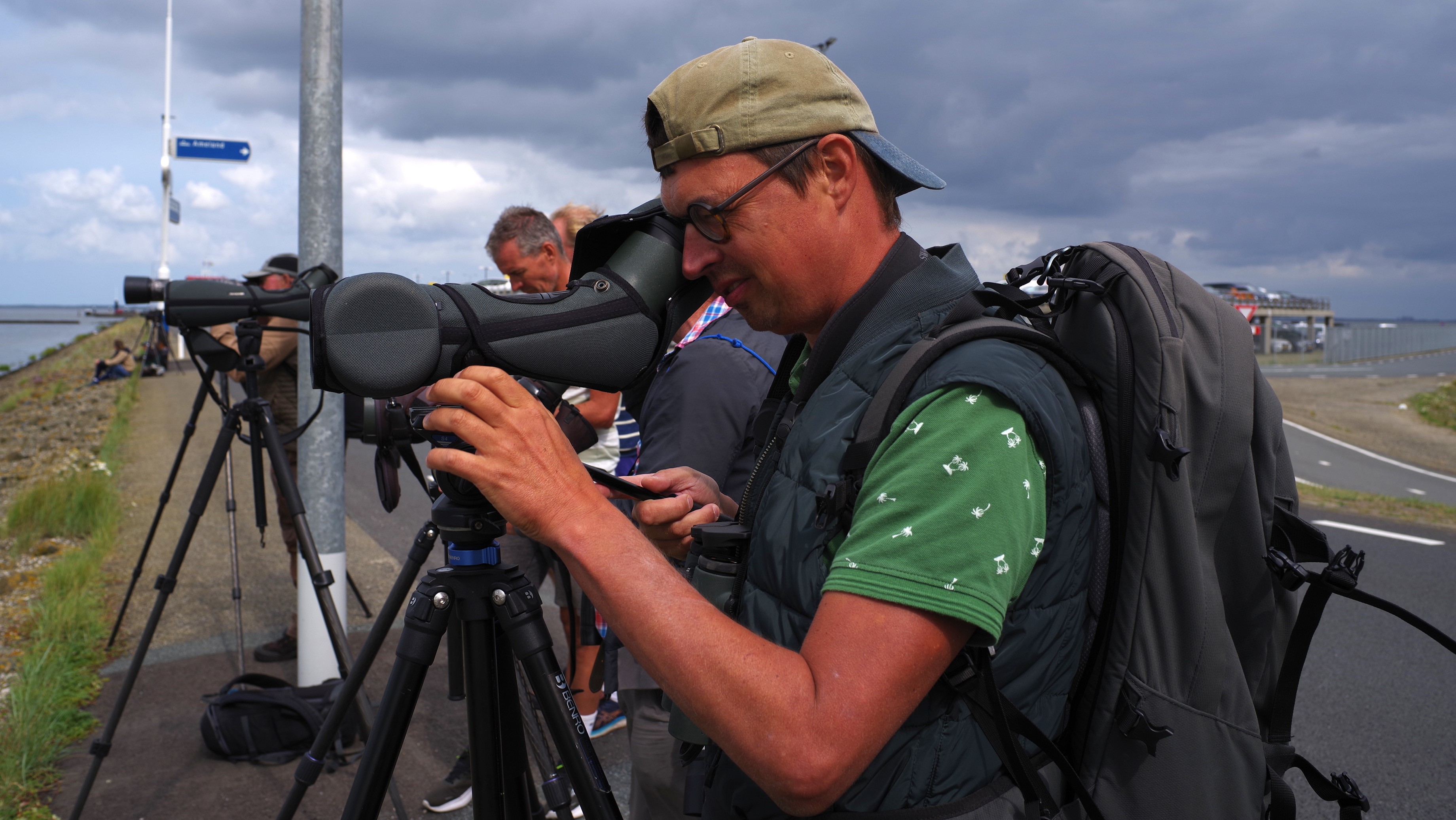 Spotters komme fan hein en fier nei Holwert: dizze fûgel sit by de pier