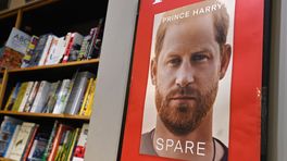 Dominicanen: 'Veel reserveringen voor boek prins Harry'