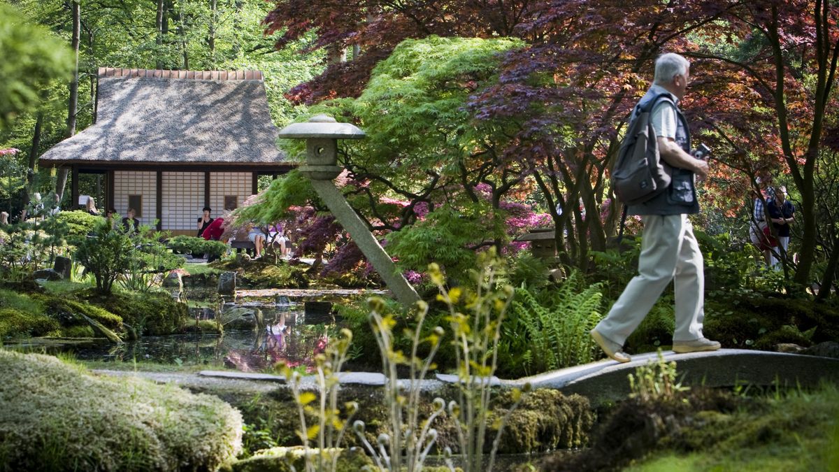 Japanse Tuin opent weer kort haar deuren