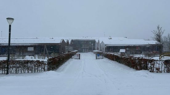 Wel of geen les: hoe beleefden Friese scholen afgelopen periode? "Moeten één lijn trekken" Nieuws