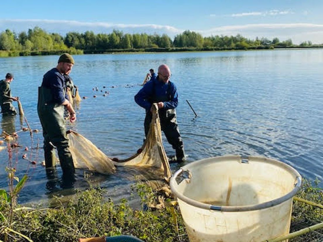 Zegenvissen in de Biesbosch