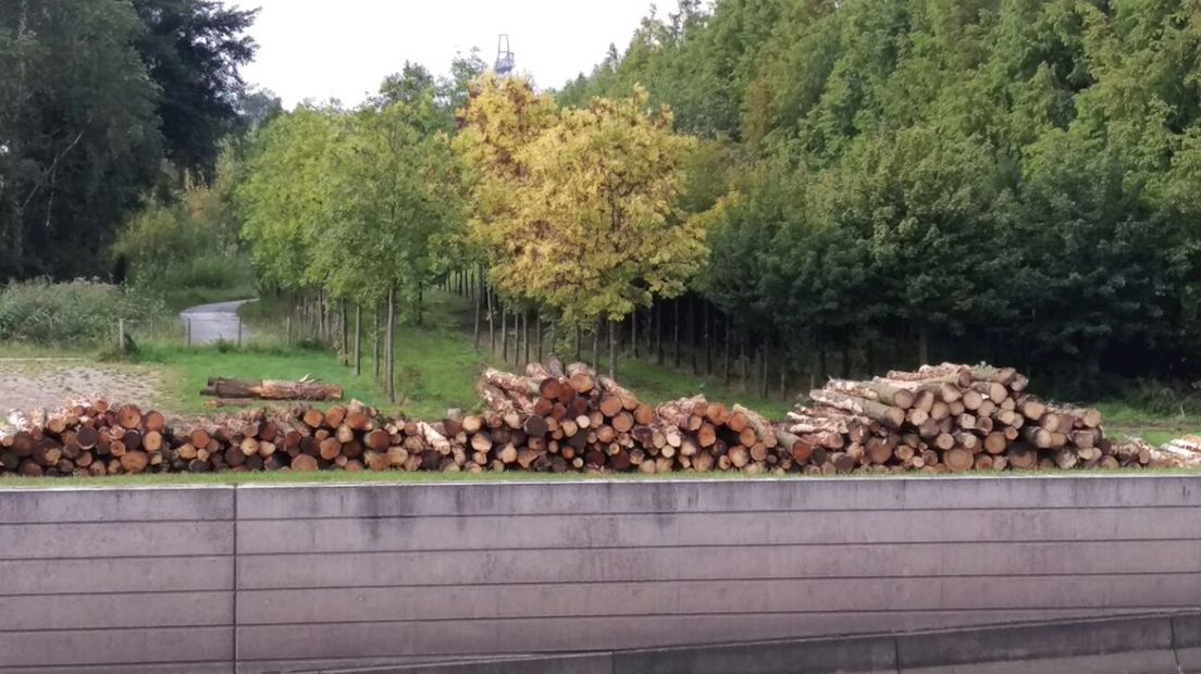 Zwolle maakt ruimte voor herinneringsbos