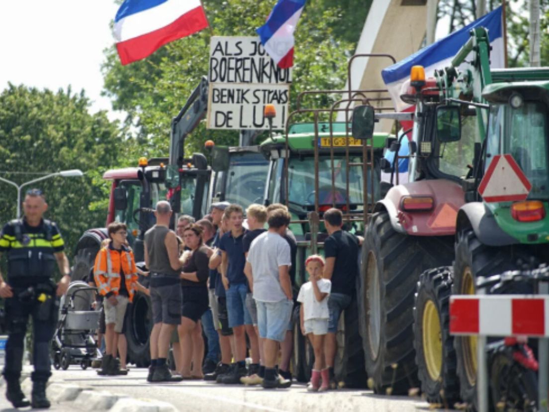 Zo'n tien tot vijftien trekkers stonden op het viaduct boven de A15.