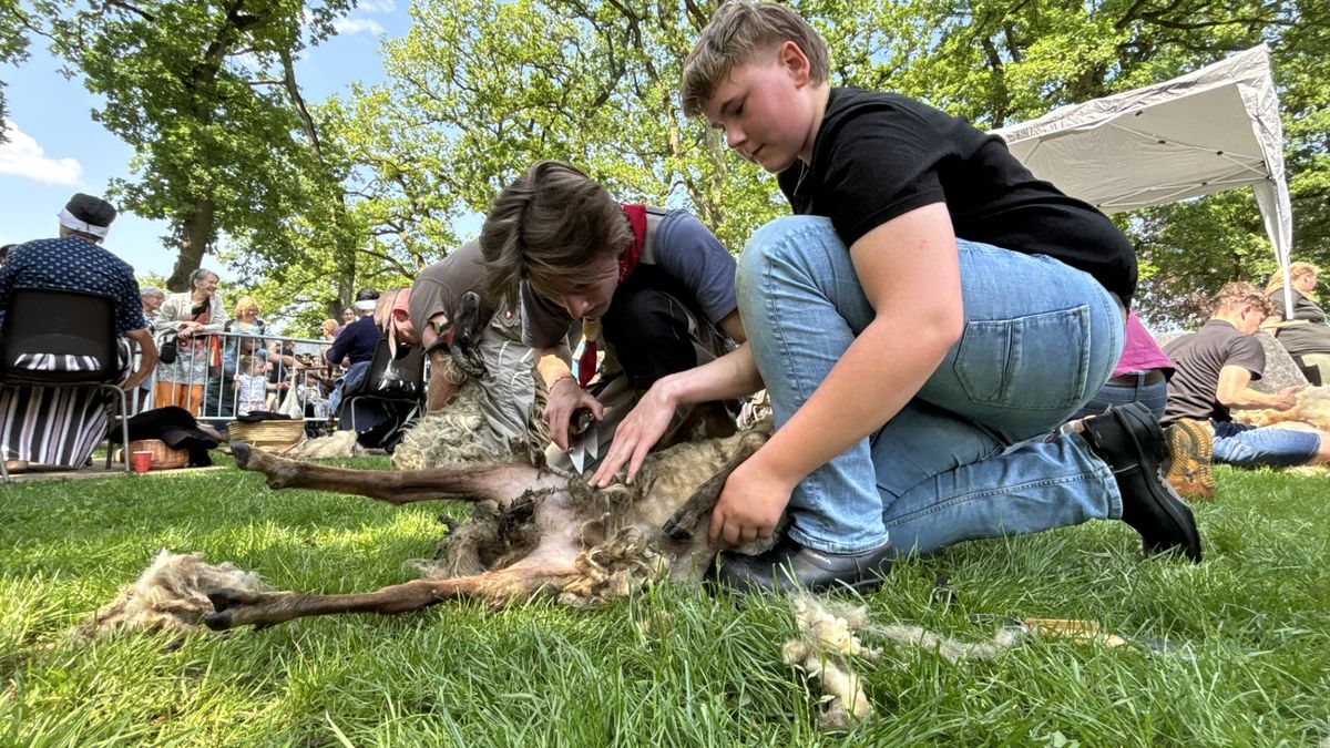 Wat is er dit pinksterweekend te doen in Drenthe?