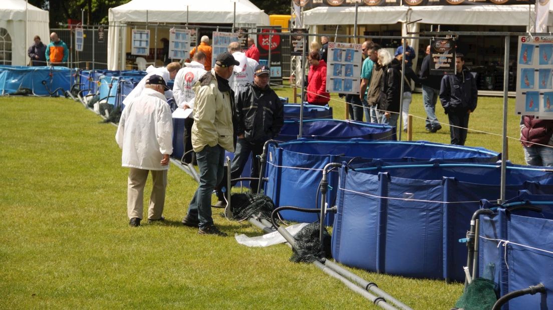 Euregio Koi Show