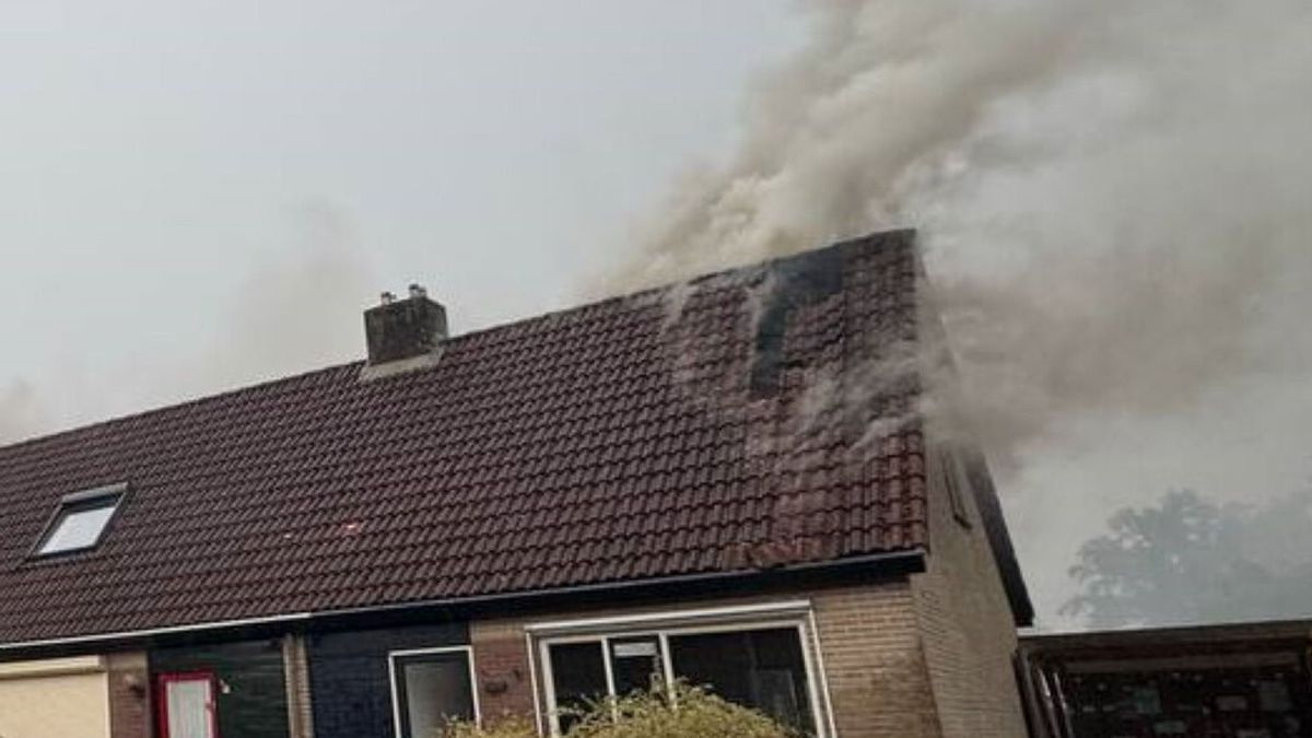 Stormschade in Fryslân: blikseminslag in Houtigehage en boom op huis in Leeuwarden