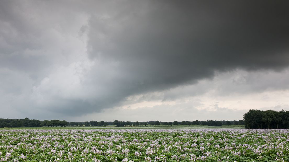 Vanaf woensdag ontstaan er buien (Rechten: archief Karin Broekhuijsen)