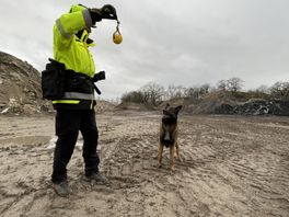 Reddingsteam naar Venezuela, nog zonder 'Drentse honden'