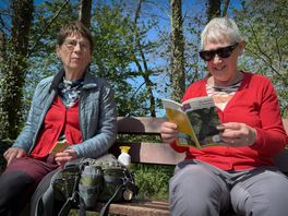 Drenthe investeert in wandelroutes: 'Heel veel mooie plekken waar eigenlijk niemand wandelt'