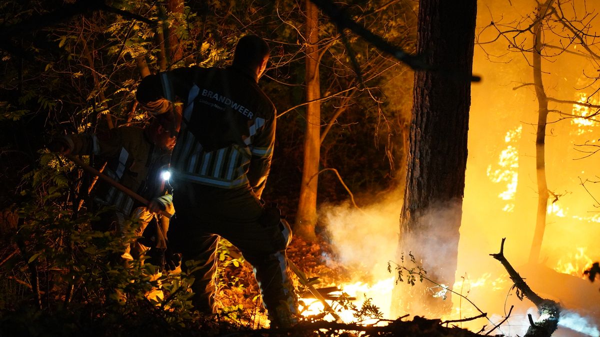 Live: Noodverordening van kracht vanwege bosbrand bij Helden, Defensiehelikopter op komst