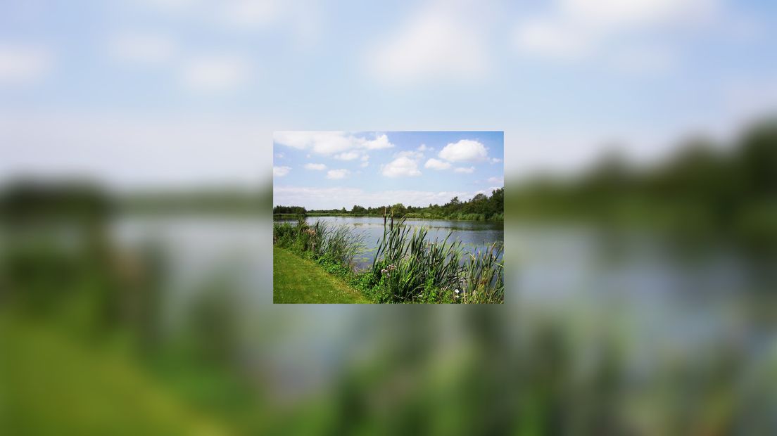 Natuergebiet De Rottige Meente yn Weststellingwerf