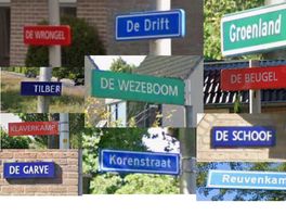 Opvallend in Hoogeveen: waarom sommige straatnaamborden gekleurd zijn