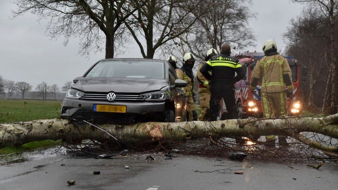 Door de harde wind vannacht is een boom omgewaaid