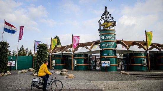 Einde in zicht voor dolfijnen in het Dolfinarium