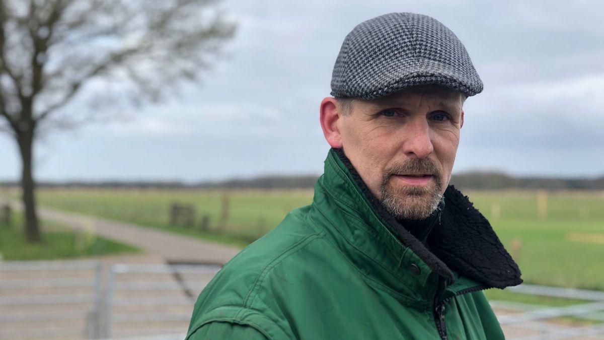 ‘Eenzaam lammetje op de heide? Laat het liggen’