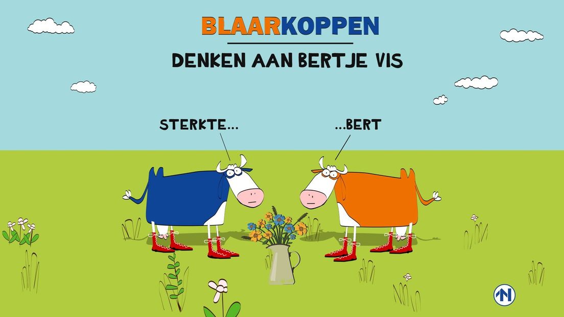 Blaarkoppen