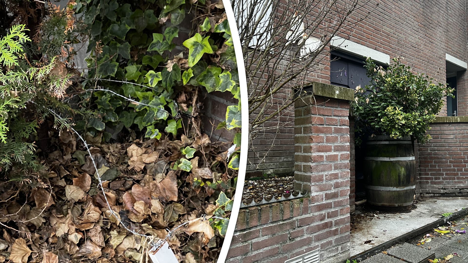 Links het prikkeldraad in de voortuin tegen poepende mensen, rechts de plantenbakken en stekels op het muurtje in de Museumstraat - Rijnmond