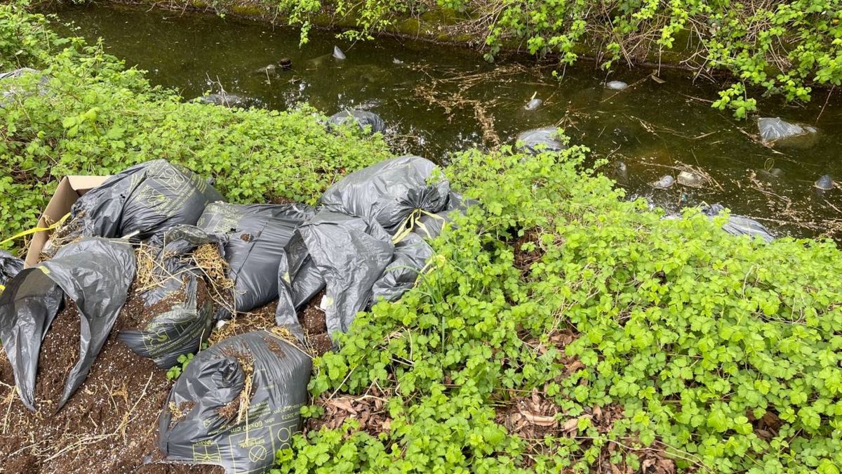 Zakken met afval gedumpt nabij CSG Kluiverboom in Groningen