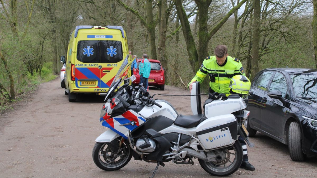 Stekende bumperklever uit Amerongen krijgt 2 jaar celstraf