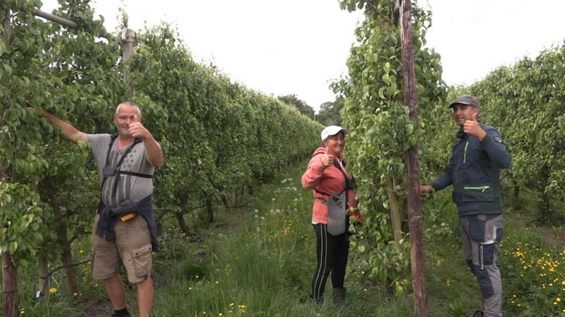 Deze Polen wonen tot tevredenheid op een fruitbedrijf in Winssen