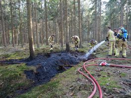 Brand uitgebroken in bos bij Huis ter Heide, vuur snel onder controle