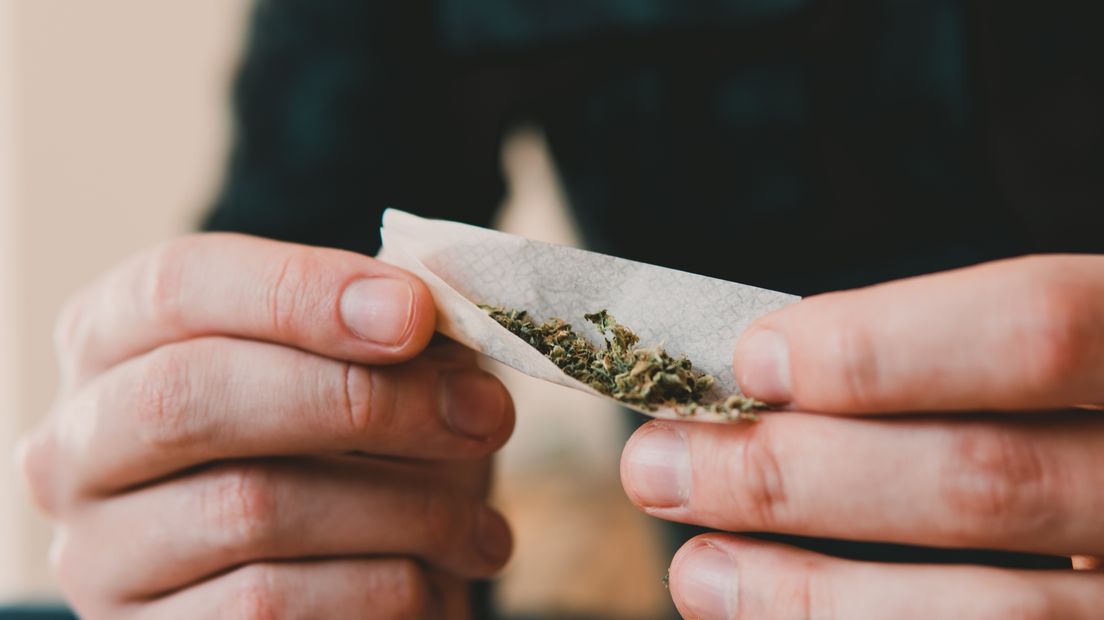 drugs cannabis kannabis wyt weed marihuana