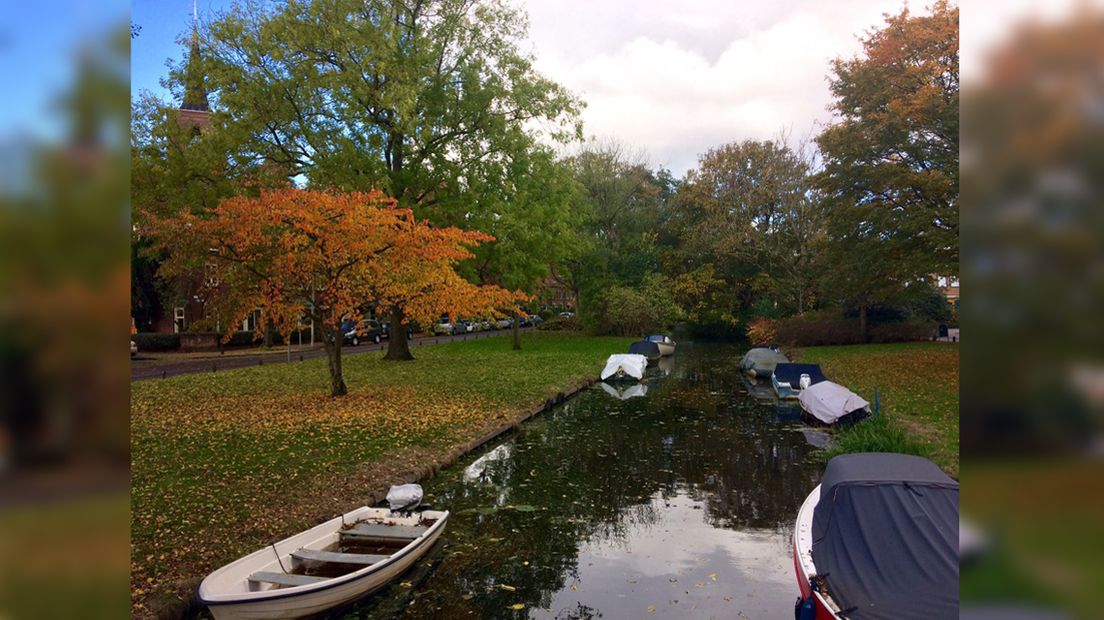 Herfst Stadsmolensloot Leiden