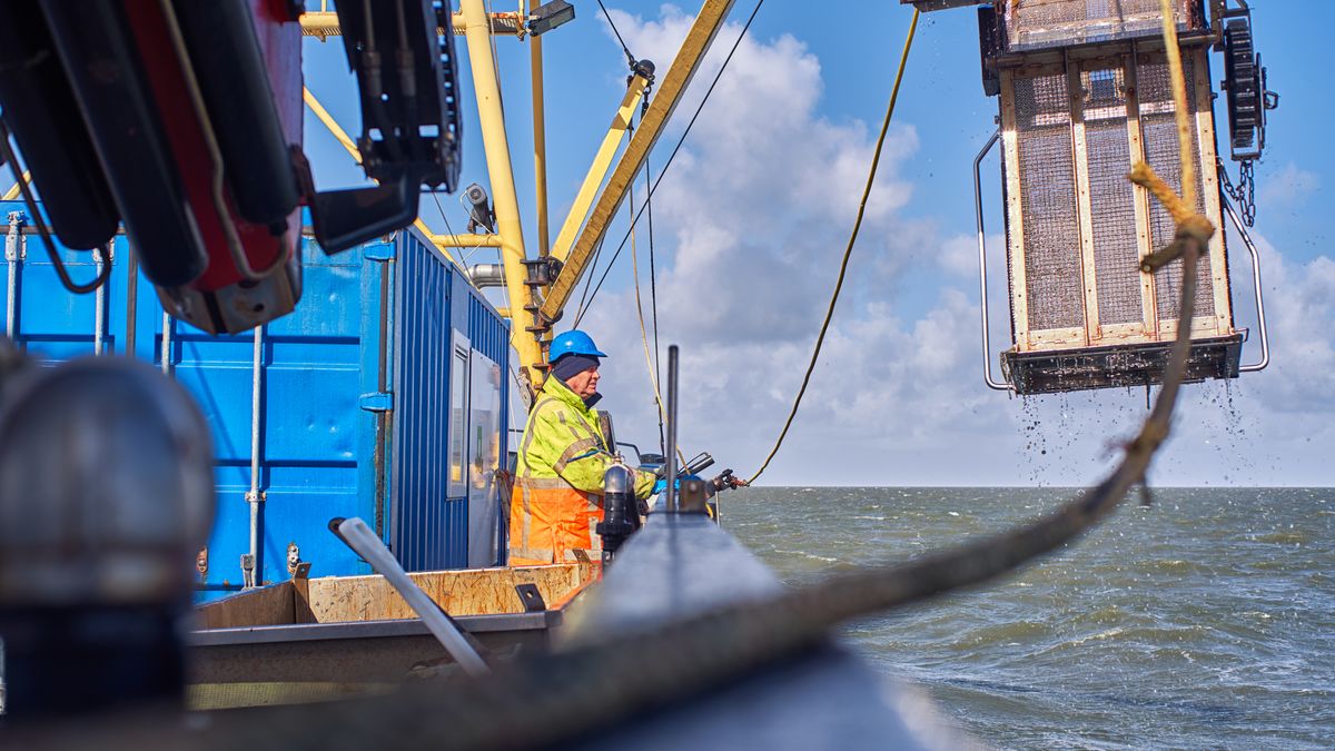 De baggerproblemen met vaargeul de Boontjes bij Harlingen lijken opgelost