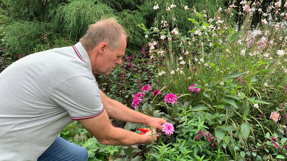 Video: Flink sproeien om siertuin groen te houden