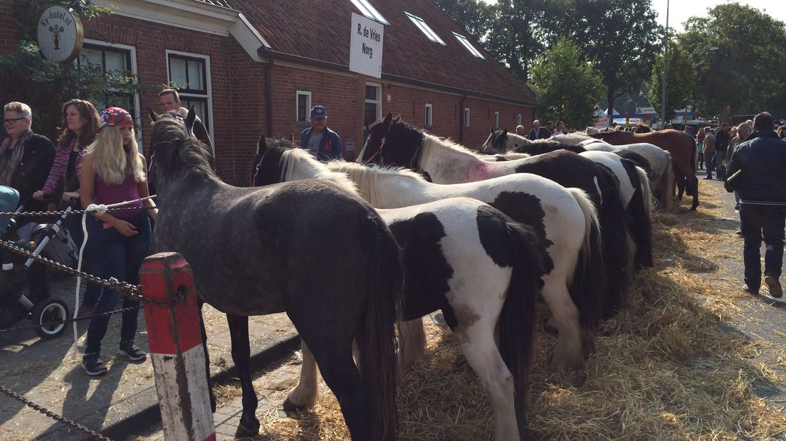 Paarden op de markt