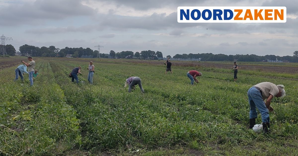 www.rtvnoord.nl