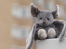 Al jarenlang staat De Marckenburgh klaar voor de sloop, maar eerst moeten duizend vleermuizen verhuizen