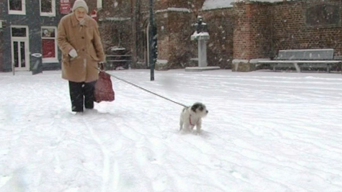 Sneeuwval in Zwolle