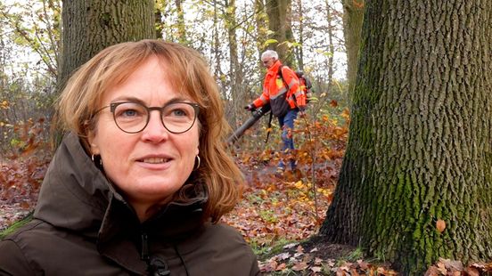 ‘De meeste mensen willen niet dood’: waarom praten levens kan redden