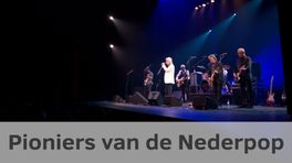 Pioniers van de Nederpop