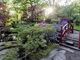 Bezoekers opgelet: Japanse Tuin opent weer kort (!) haar deuren