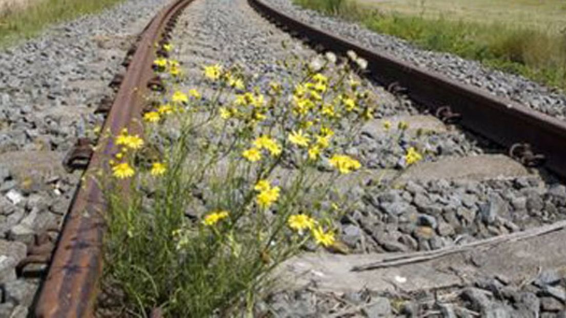 Storing spoor Arnhem-W'wijk voorbij