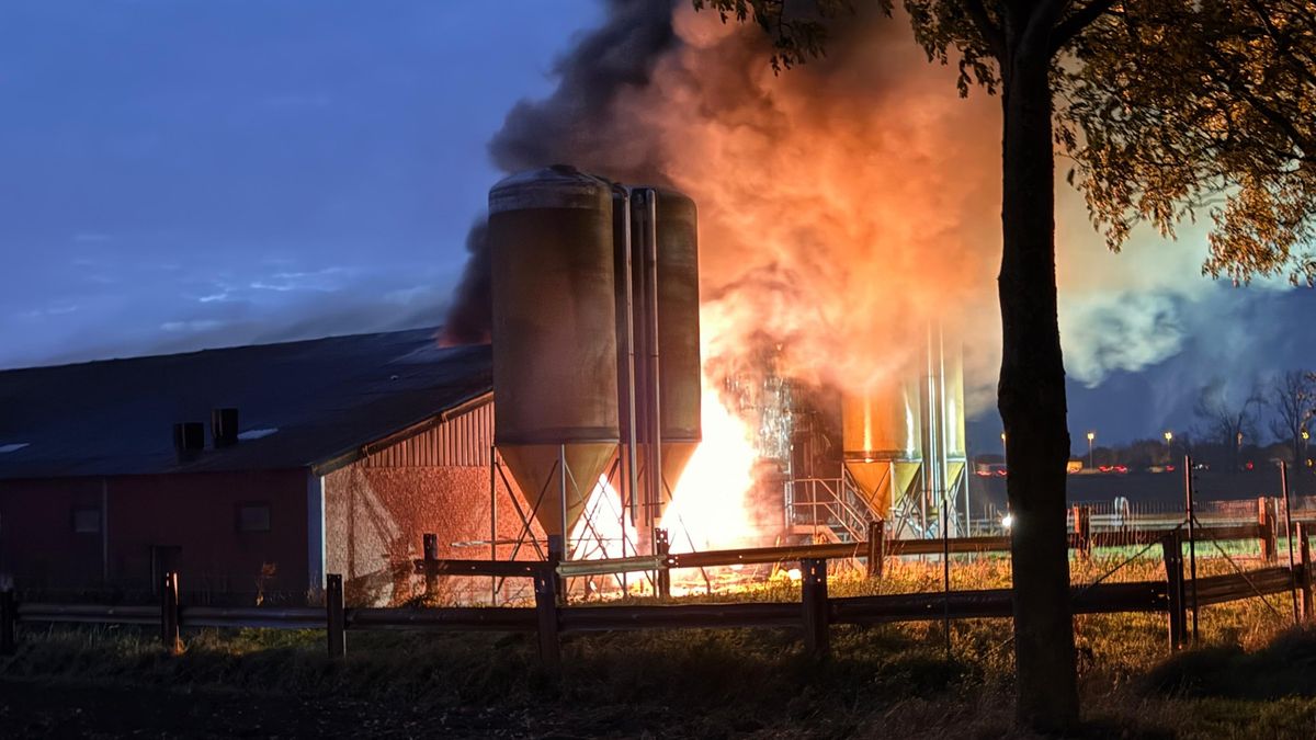 Groot alarm voor brand bij boerenbedrijf in Dieteren