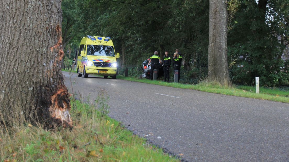 De vrouw raakte eerst een boom en schoot toen naar de andere kant van de weg