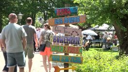 Zonnige eerste editie van Asser stadsfestival
