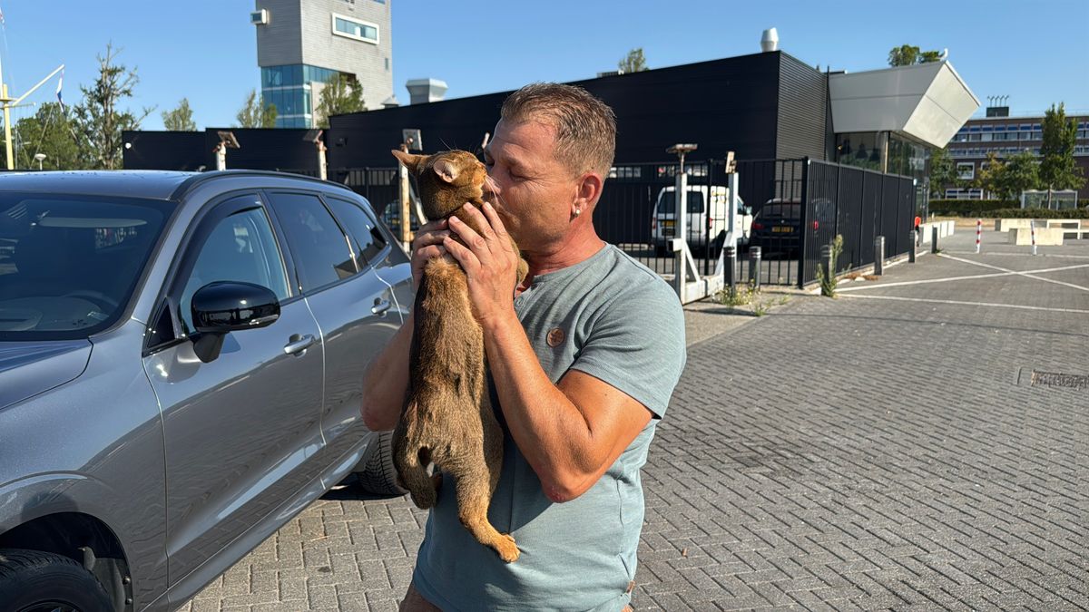 Duitse schipperskat na drie dagen weer herenigd met baasje in Vlissingen
