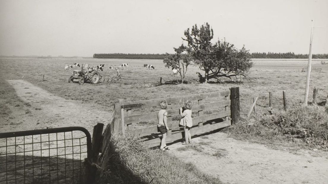 Zoetermeer in de jaren vijftig zonder nieuwbouw