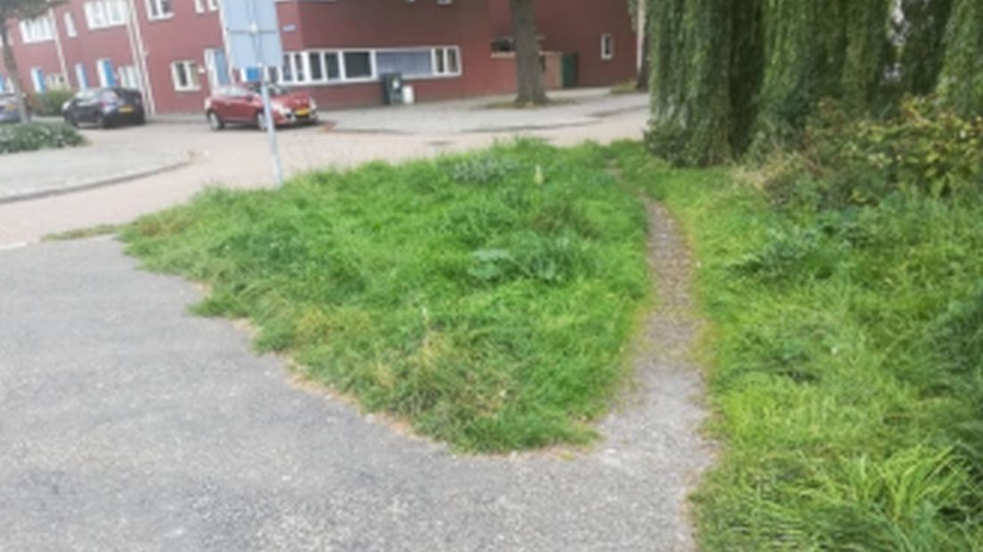 Olifantenopad Niftarlakeplantsoen.