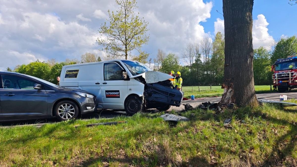 Wit busje tegen boom